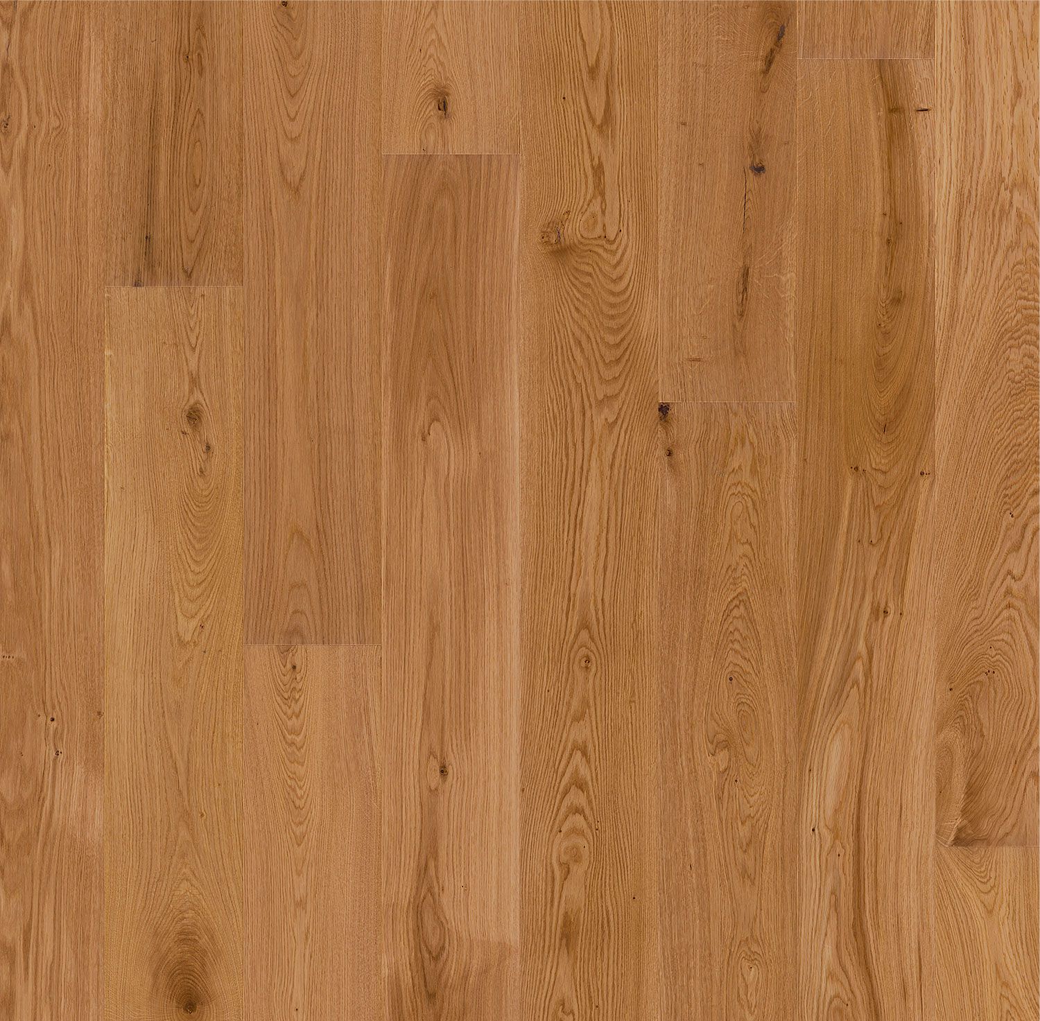 Engineered European Oak | Suburban Flooring – Timber Experts